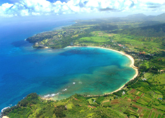 Vivere ad Honolulu Vivere ad Honolulu